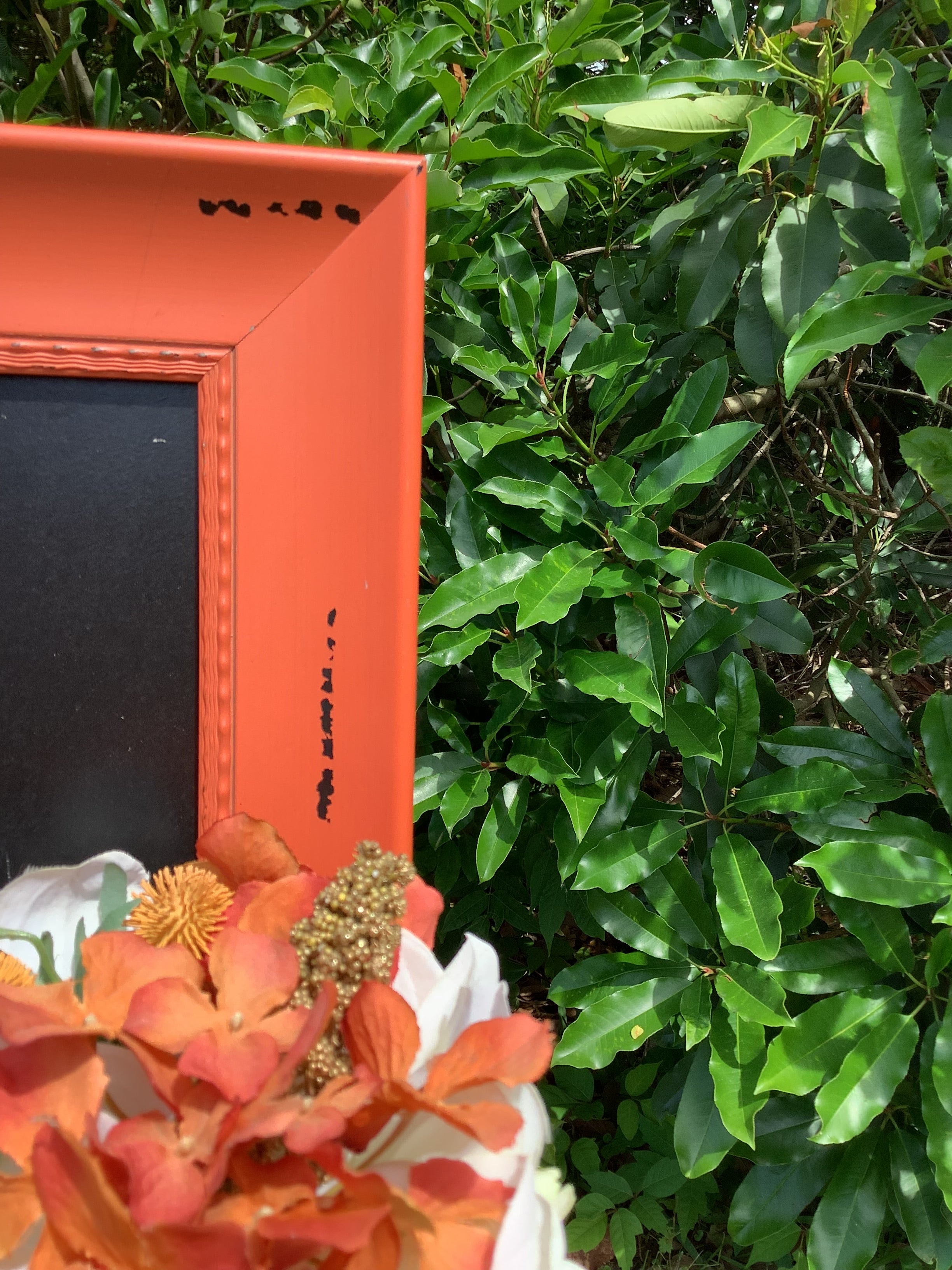 Orange Square Picture Frame