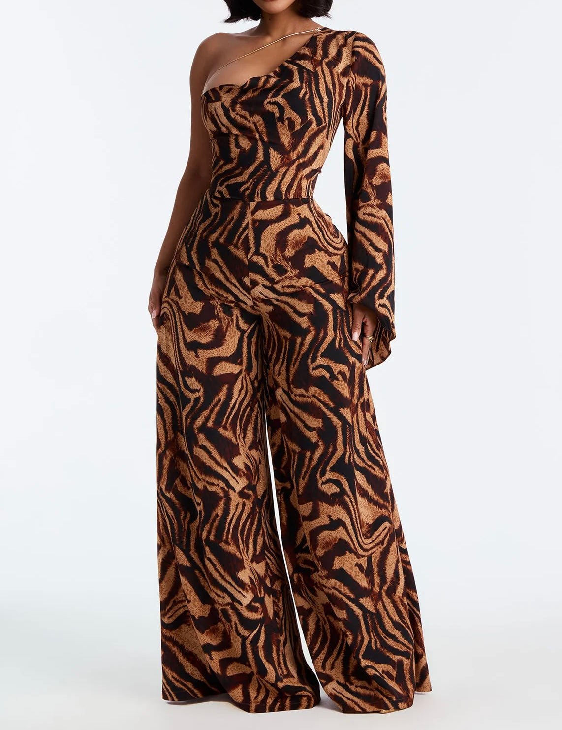 Zebra Jumper