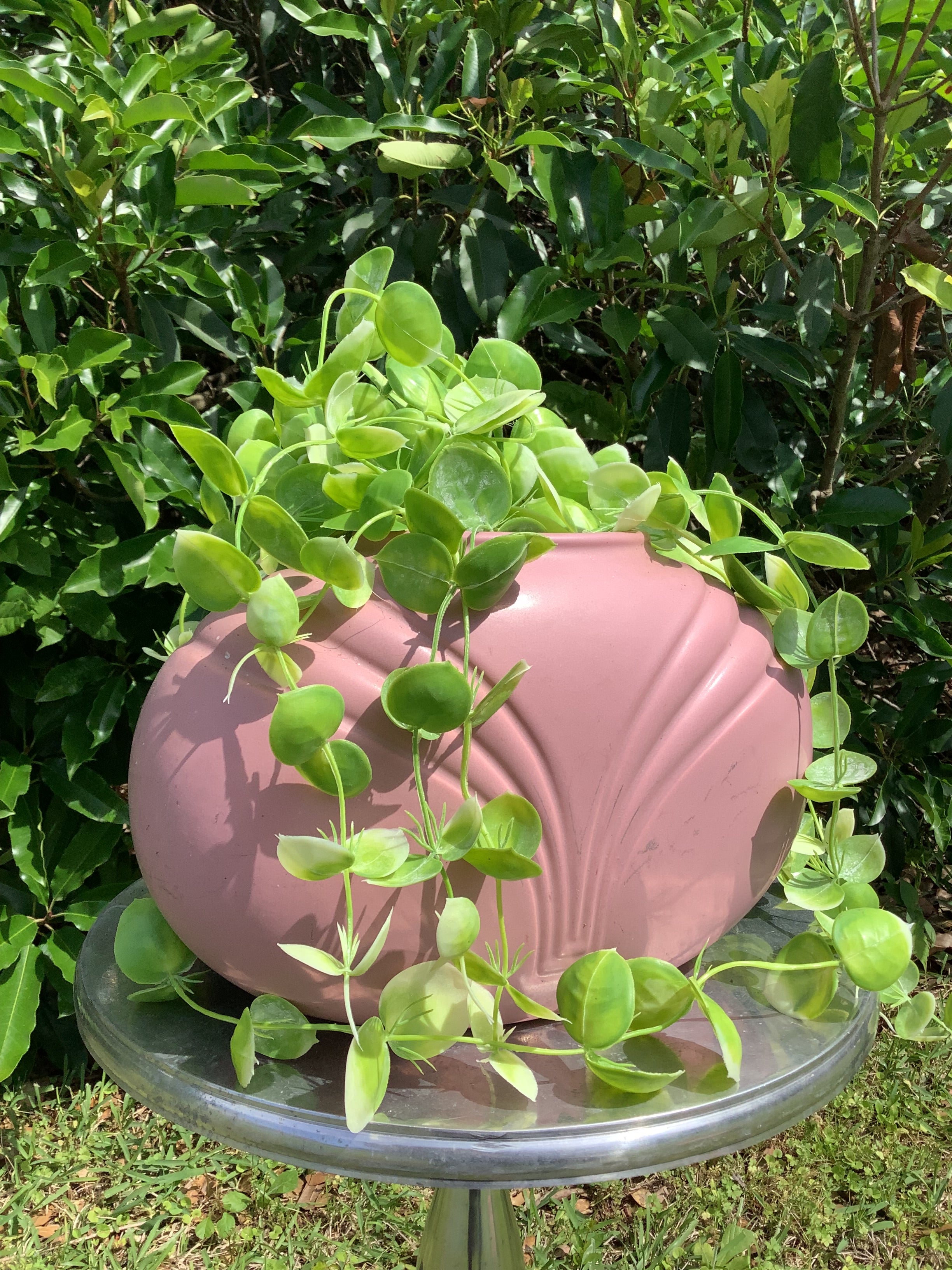 Pink Vase