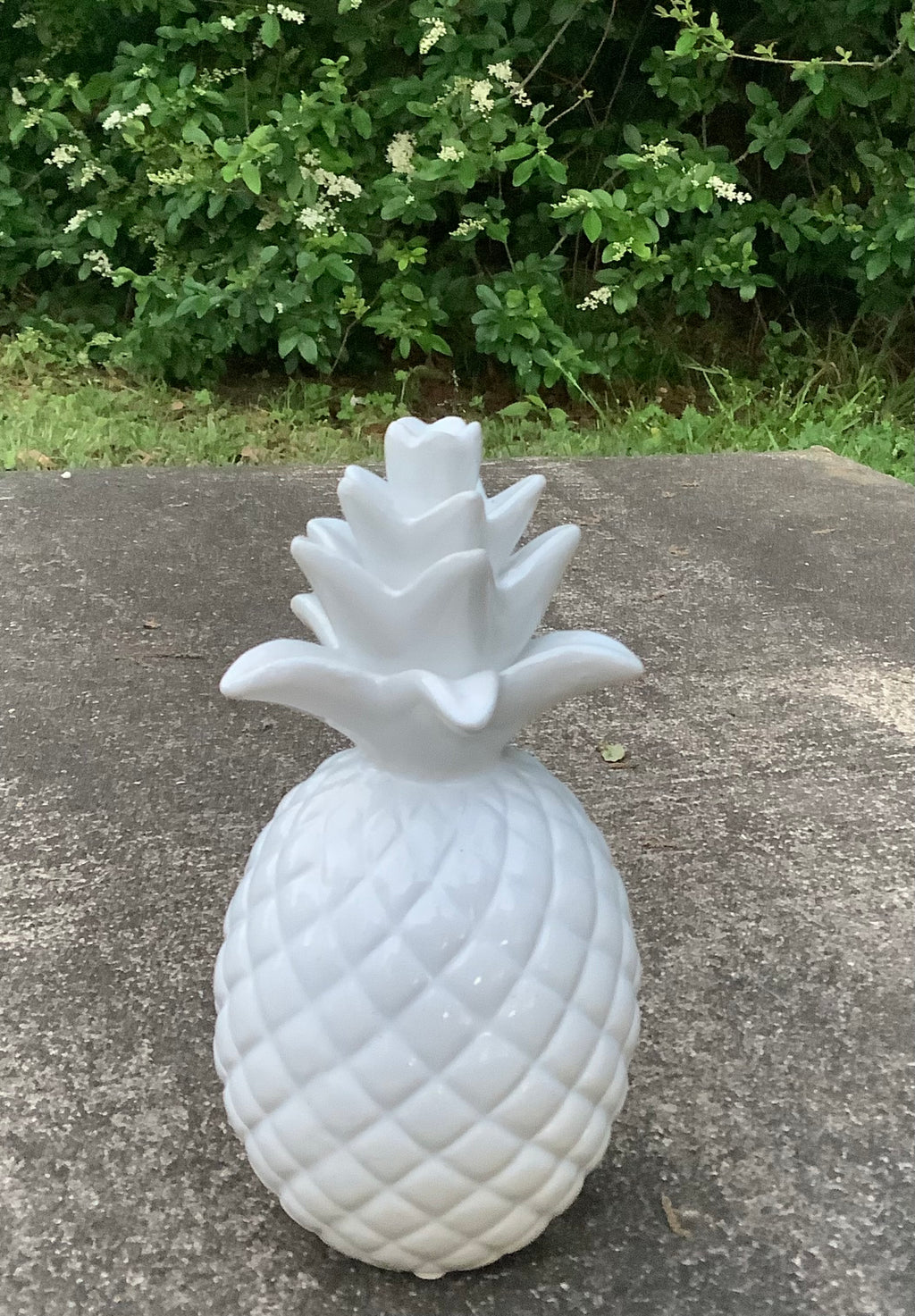Small Pineapple Decor