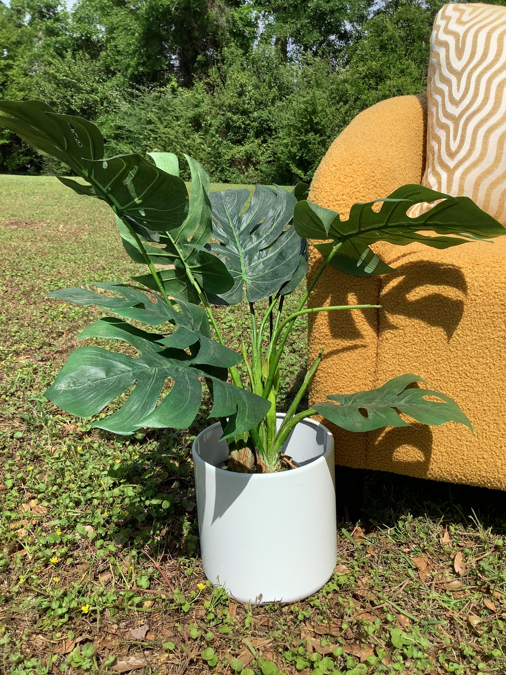 Faux Plant