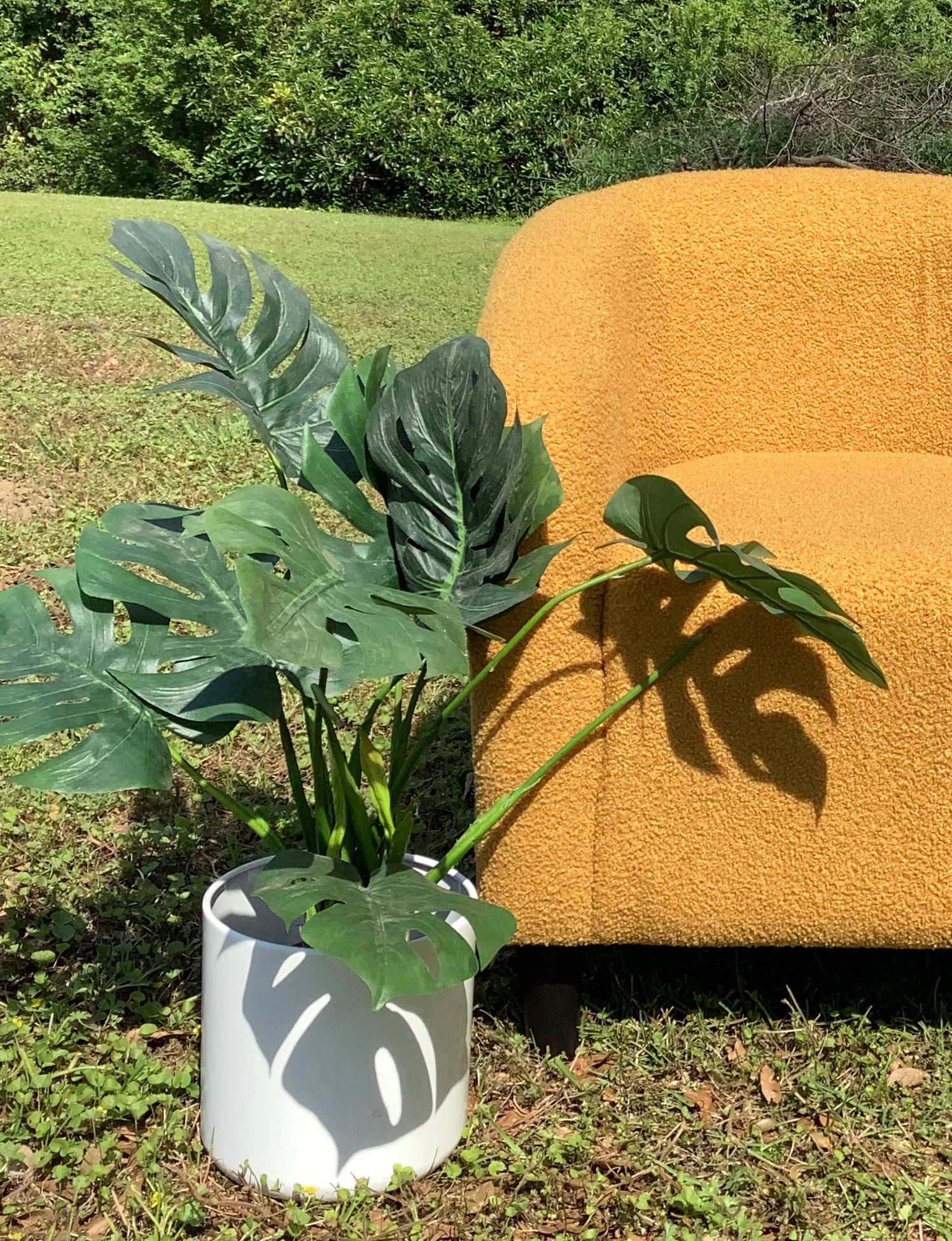 Mustard Accent Chairs (Chair Set of 4)