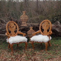 Set of 2 Chairs