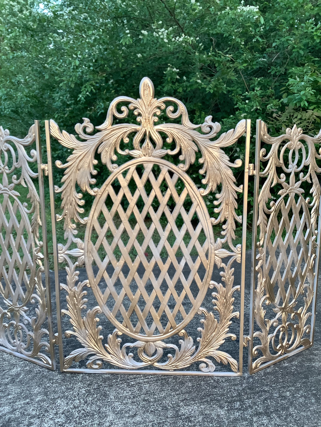 Fireplace Screen